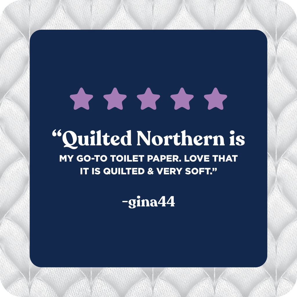 Quilted Northern Ultra Plush 3-Ply Toilet Paper, 12 Mega Rolls, 255 Sheets per Roll