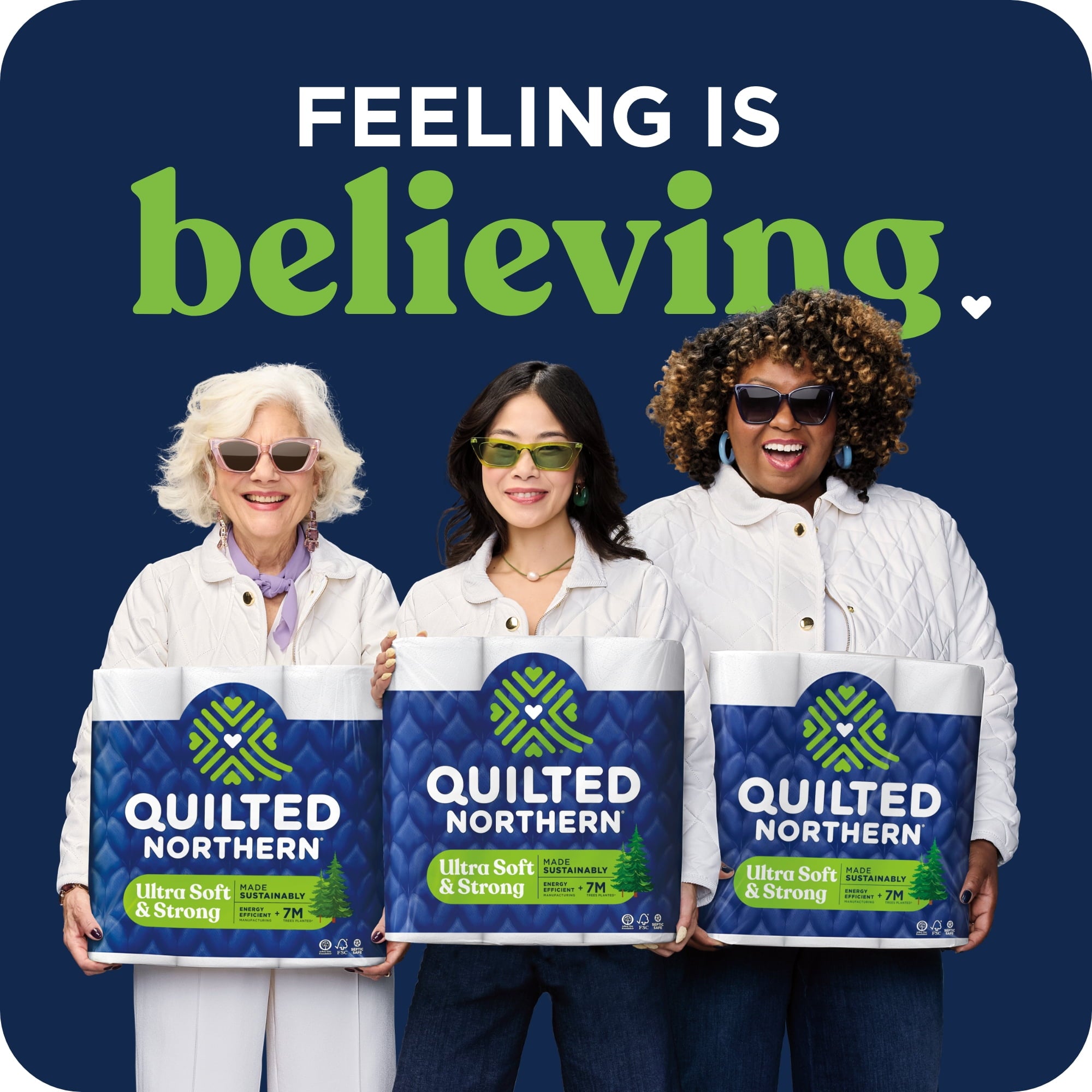 Quilted Northern Ultra Soft & Strong 2-Ply Toilet Paper, 12 Mega Rolls, 255 Sheets Per Roll