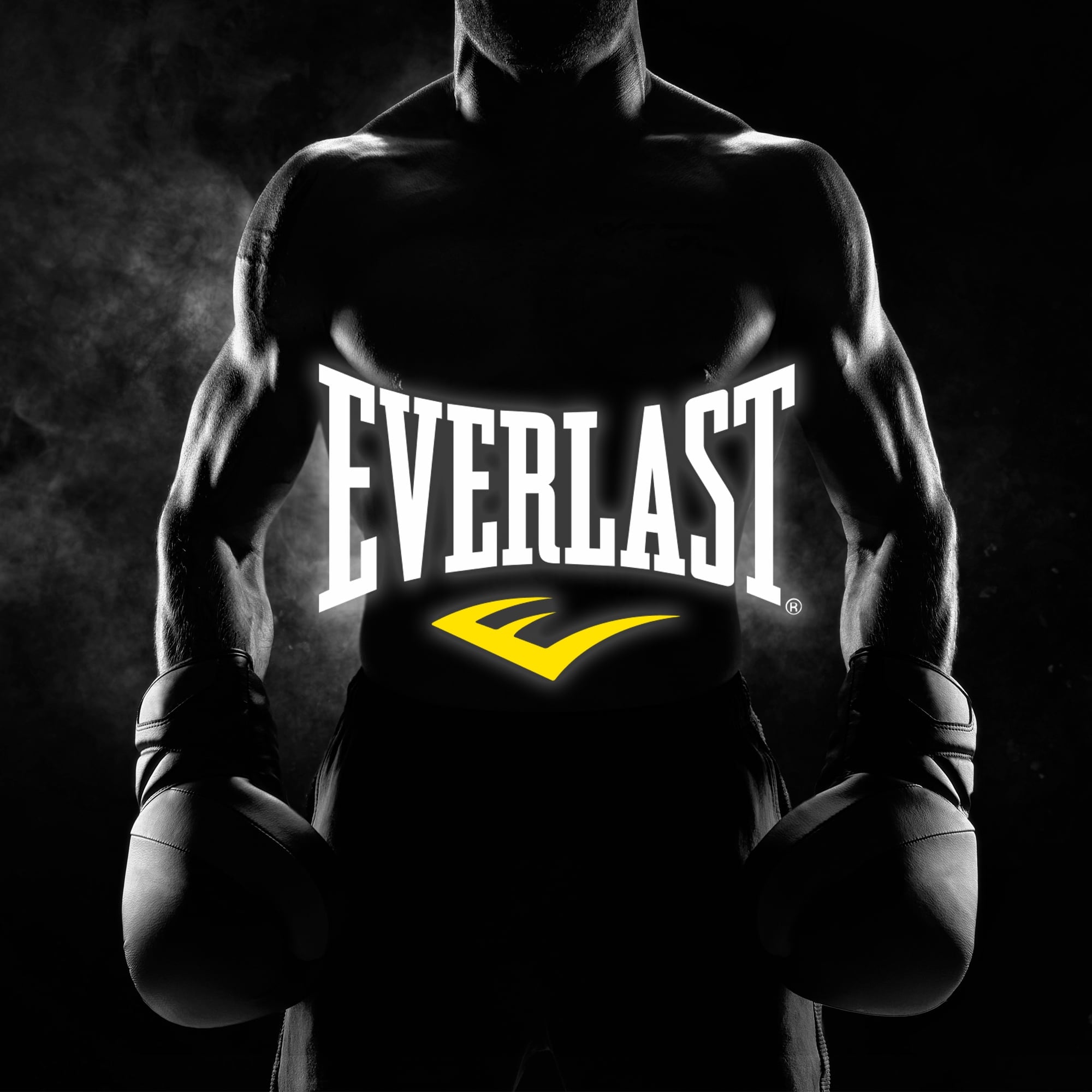 Everlast Mens Boxer Briefs Breathable Cotton Underwear Pack, 6-Pack
